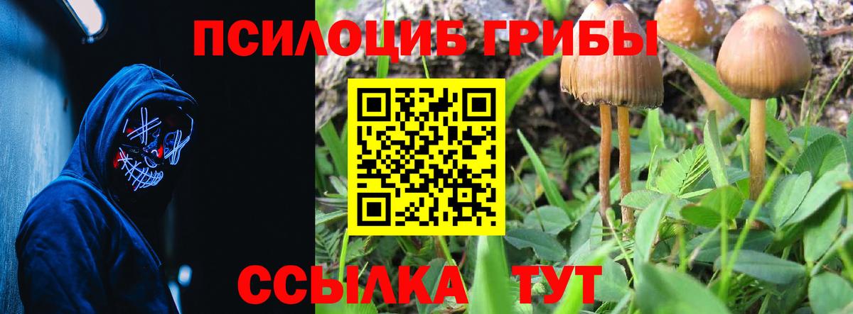 Псилоцибиновые грибы мухоморы Горно-Алтайск